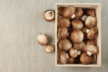 Brown cap mushrooms in box