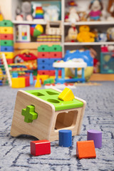 Wooden colour toy. Sorter