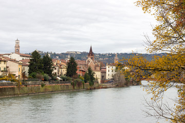 Fototapeta premium Adige river in Verona