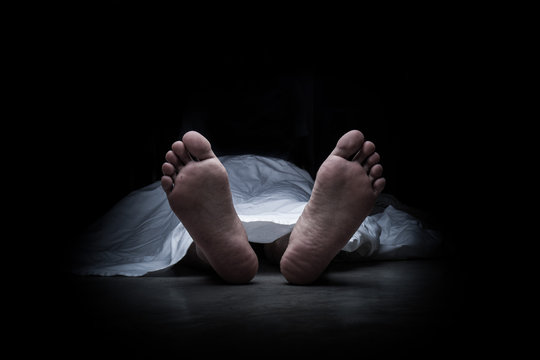 Dead Body Images – Browse 9,778,903 Stock Photos, Vectors, and Video |  Adobe Stock