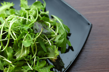 Plate of fresh mixed green salad on wooden table close up