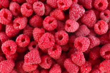 Heap of sweet red raspberries close up
