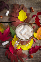 Cocoa with marshmallow on the background of bright autumn leaves