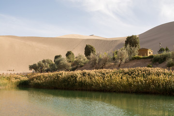 Oasis in desert at Mingsha Shan, Dunhuang, Gansu Province, China