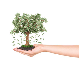 hand with money tree