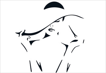 Cerca immagini: chapeau