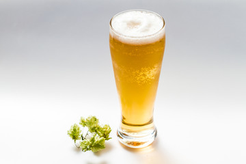 Light beer isolated from white