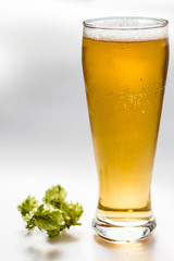 Light beer isolated from white