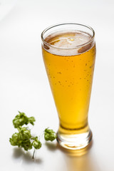 Light beer isolated from white