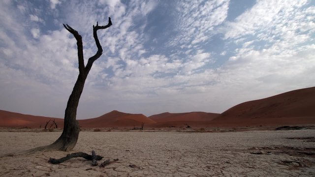 Cloud time lapse over parched tree in the dried up lake at Dead Vlei in Namibia. There are sand dunes surrounding the dried up salt pan.