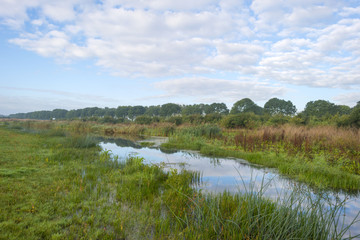 Shore of a lake under a blue cloudy sky in autumn