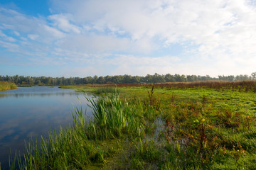 Shore of a lake under a blue cloudy sky in autumn