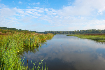 Fototapeta na wymiar Shore of a lake under a blue cloudy sky in autumn