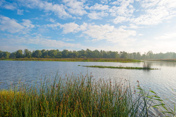 Shore of a lake under a blue cloudy sky in autumn