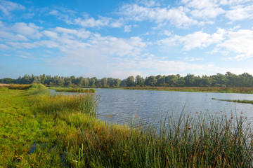 Shore of a lake under a blue cloudy sky in autumn