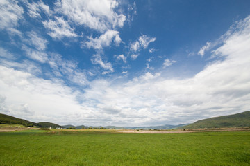 Fototapeta premium Beautiful landscape of field with sky.