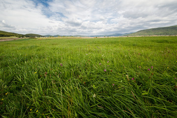 Beautiful landscape of field with sky.