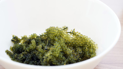 Sea grape seaweed, uni budou. japanese seaweed