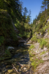 Wasserfälle in der Weißbachschlucht