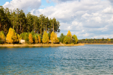 autumnal forest near the lake. natural background