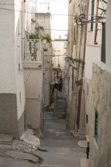 Photo &copy; Herby Meseritsch