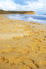 Beautiful view on the beach