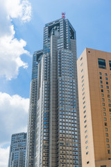 Fototapeta na wymiar Shinjuku high-rise building