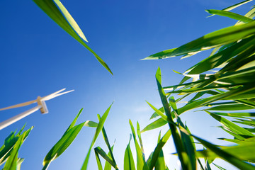 Wind energy