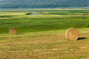 two hay bales in the green meadow valley