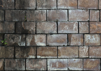 Obraz premium brick wall background