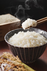 白米のご飯　Japanese rice KOME