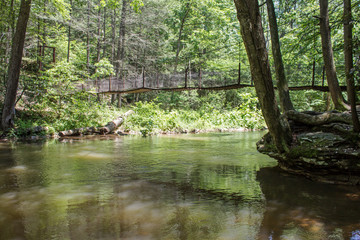 Rope Bridge and River - A Brown Bridge Constructed of Ropes and Wood Crosses Over a Small River and Into the Green Central Pennsylvania Forest