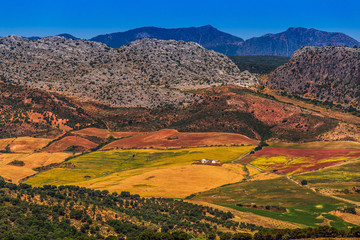 Fototapeta na wymiar Landscape in rural, Andalusia, Spain.