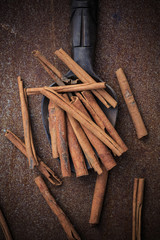 Cinnamon sticks on wooden spoon