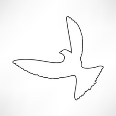 Obraz premium Dove of Peace illustration