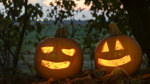 time lapse of scary halloween pumpkins in the forest, night time
