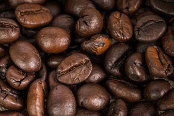 fresh coffee bean