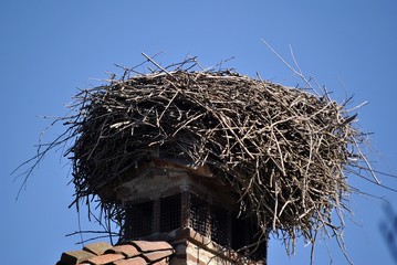 nido di cicogna su un comignolo