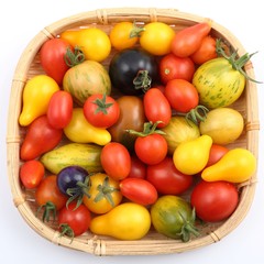 Tomatoes.