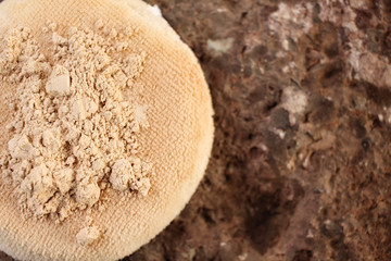 Makeup powder with sponge