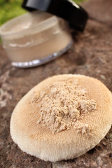 Makeup powder with sponge