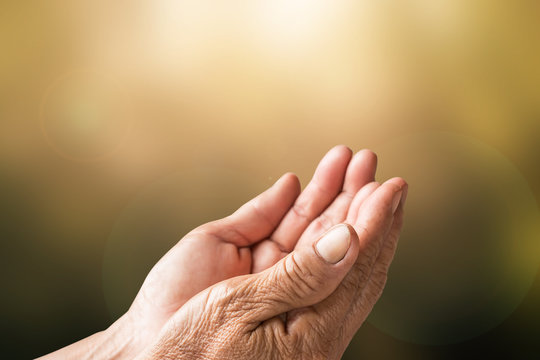 Two open empty hands of old woman with blur background