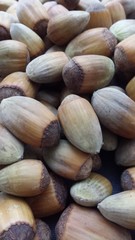 Hazelnuts