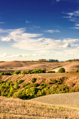 Naklejka premium Fields in Tuscany