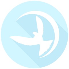 Icon Dove of Peace with a long shadow