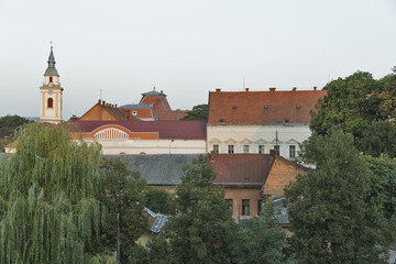 Fototapeta na wymiar Berehove cityscape in Ukraine.
