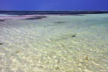 africa coastline froth foam  in the   relax  of zanzibar