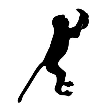 silhouette of a monkey with a banana