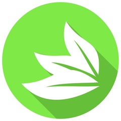 Icon leaf with a long shadow