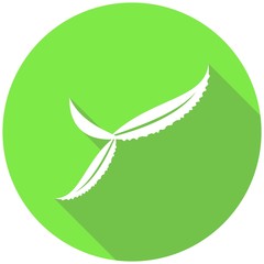 Icon leaf with a long shadow